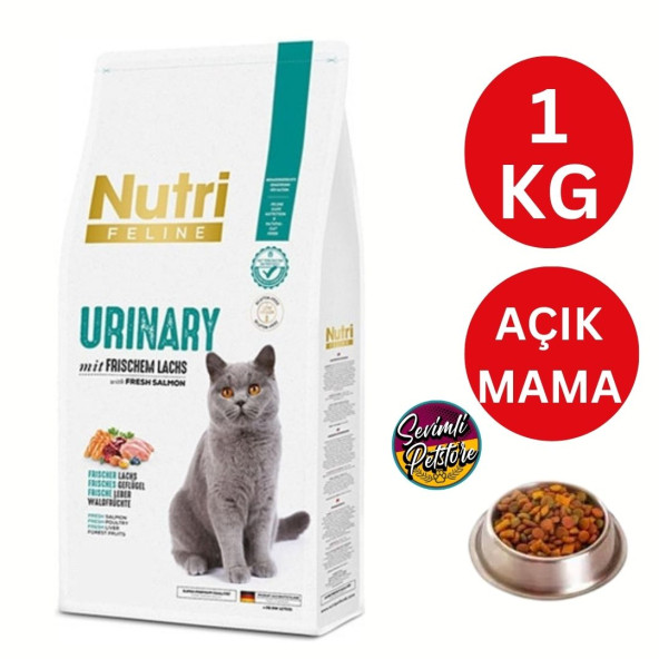 Nutri Feline Böbrek Sağlığı Destekleyici Somonlu Yetişkin Açık Kedi Maması 1 kg ürün görseli 1