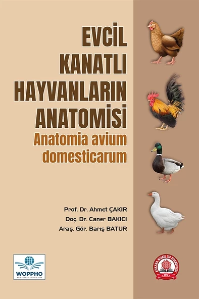 Evcil Kanatlı Hayvanların Anatomisi - Resim 2