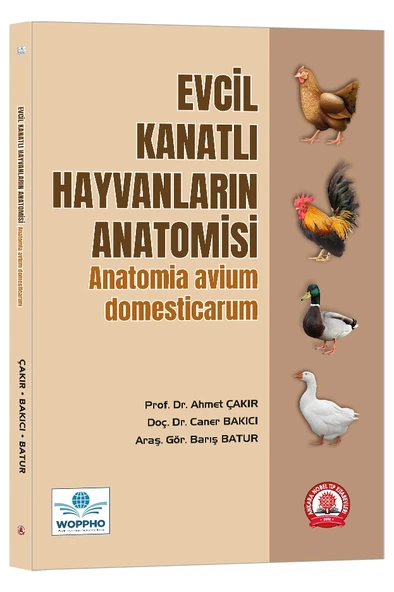 Evcil Kanatlı Hayvanların Anatomisi ürün görseli 1