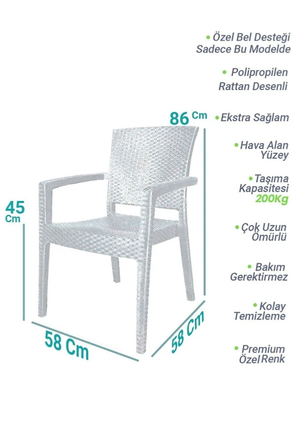 Almina Kollu Rattan Sandalye Koltuk Dayanıklı Bahçe Balkon Ve Teras Sandalyesi 2 Adet ürün görseli 1