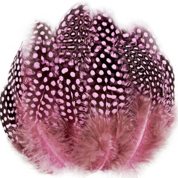 100 PCS DECOR PİNK BIRD FEATHER 100 ADET PUANTİYELİ PEMBE SİYAH KUŞ TÜYÜ DEKOR PEMBE KUŞ TÜYÜ ürün görseli 1