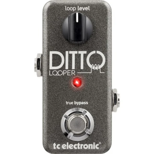 TC Electronic Ditto Looper Pedalı - Resim 3