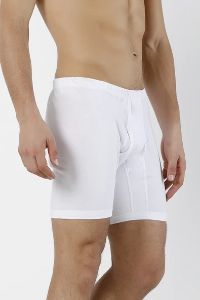 DoReMi Erkek Arjantin Boxer - Resim 5