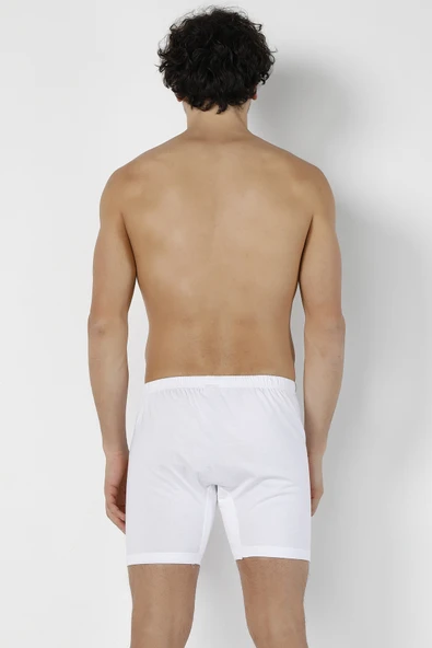 DoReMi Erkek Arjantin Boxer - Resim 8