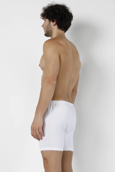 DoReMi Erkek Arjantin Boxer - Resim 9
