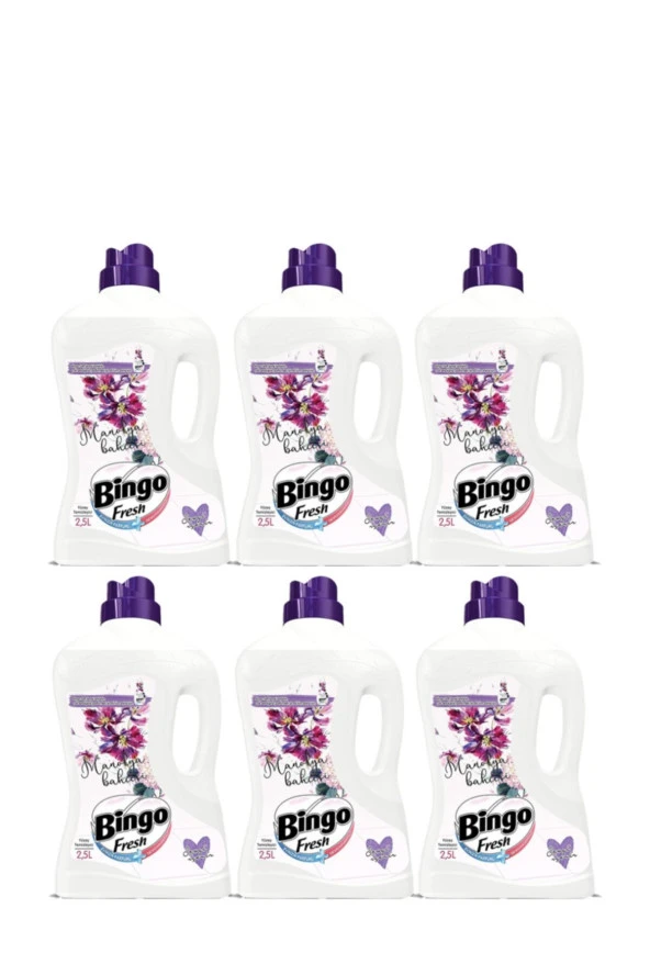 BİNGO Fresh Yüzey Temizleyici Manolya Bahçesi 2.5Lt X 6 Adet ürün görseli 1