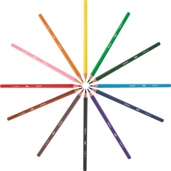 Bic Kids Evolution Kuru Boya 12'Li Metal Kutu - Resim 3