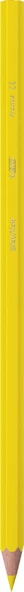 Bic Kids Evolution Kuru Boya 12'Li Metal Kutu - Resim 4