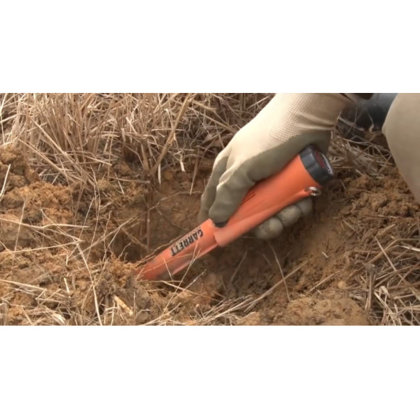 Garrett Pro Pointer AT - Resim 6