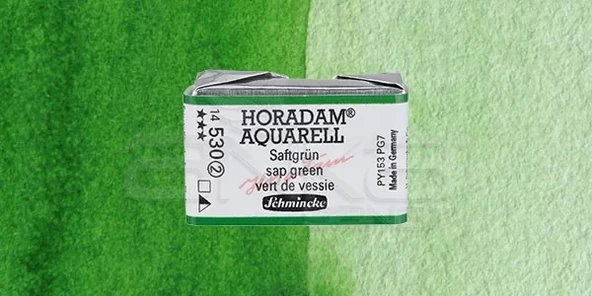 Schmincke Horadam Aquarell 1/1 Tablet 530 Sap Green seri 2 ürün görseli 1