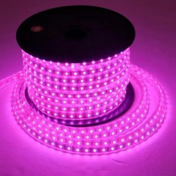 Neon Led Pempe Renk 5 Metre -12 Volt Uyumlu ürün görseli 1