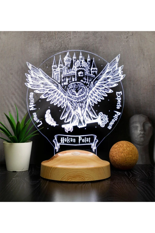 SEVGİ LAMBASI Harry Potter Hediyesi Hogwarts Hedwig 3d Led Lamba, Hediye Baykuş Gece Lambası, Harry Potter Hediye ürün görseli 1