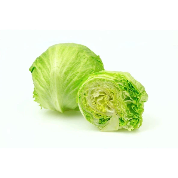 Iceberg Marul Tohumu (1 gram) ürün görseli 1