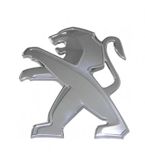 Peugeot 307 (SW), Bagaj Arma OEM (7810.H6) ürün görseli 1