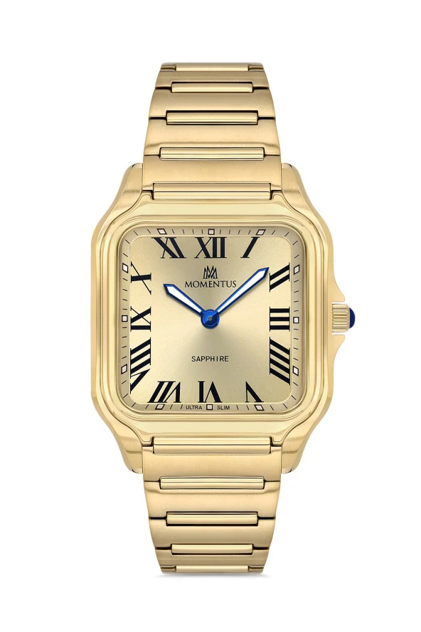 Momentus Men's Crown Master EM348G-08SG ürün görseli 1