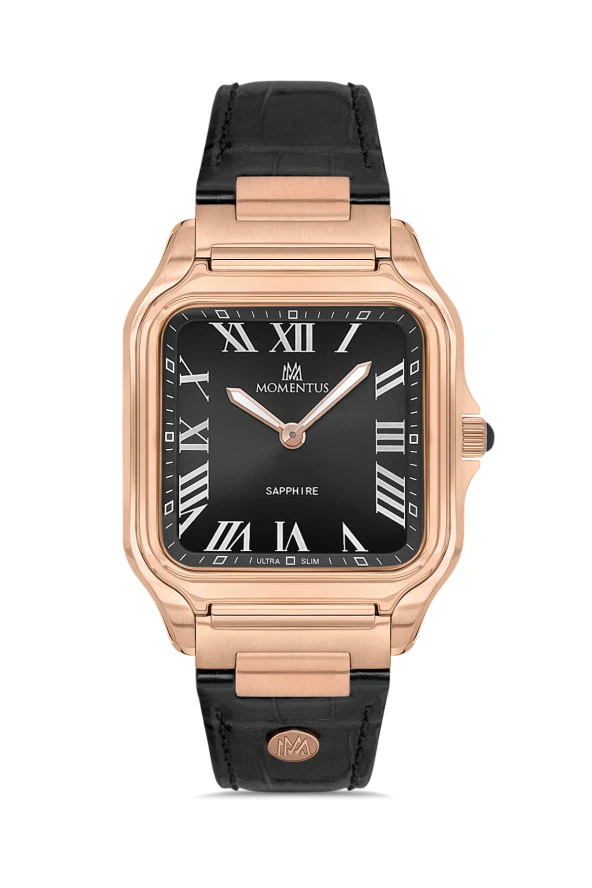 Momentus Men's Crown Master EM348R-04BR ürün görseli 1