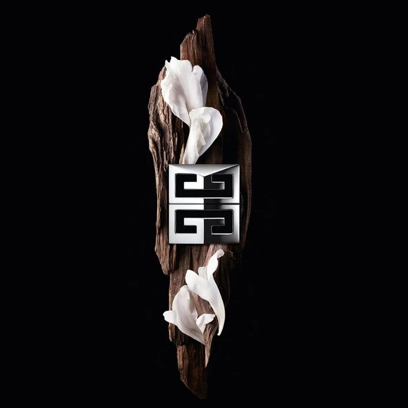 Givenchy Gentleman Society Deodorant Stick 75 ml Erkek - Resim 3