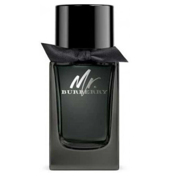 Burberry Mr. Burberry EDP 100 ml Erkek Parfümü ürün görseli 1