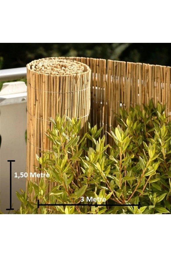 Hasır Evi 1,50 Metre x 3 Metre Bambu Kamış Hasır - Resim 2