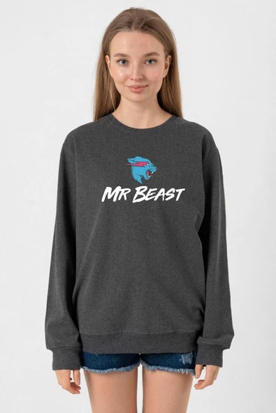 Mr Beast Füme Kadın 2ip Sweatshirt ürün görseli 1