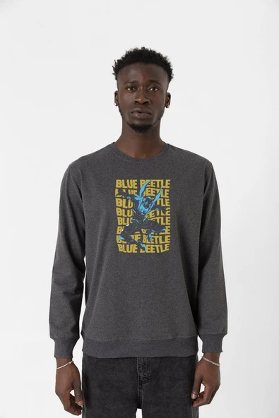 Blue Beetle Lettern Füme Erkek 2ip Sweatshirt ürün görseli 1