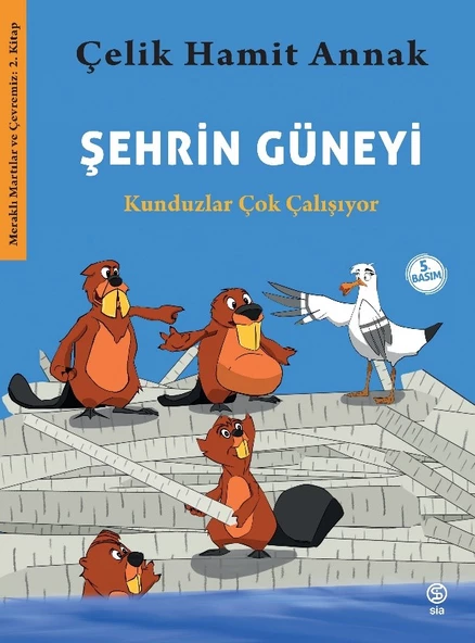 Şehrin Güneyi - Çelik Hamit Annak ürün görseli 1