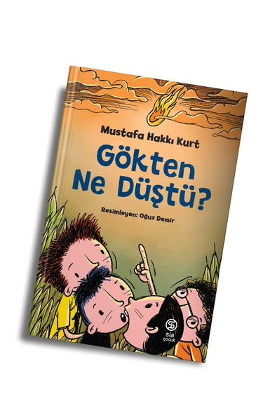 Gökten Ne Düştü - Mustafa Hakkı Kurt ürün görseli 1