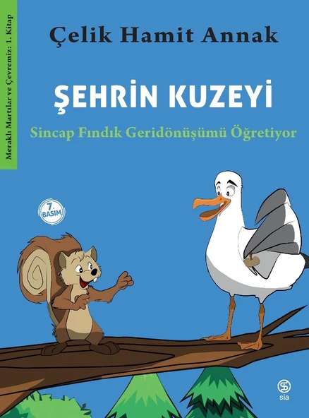 Şehrin Kuzeyi - Çelik Hamit Annak ürün görseli 1