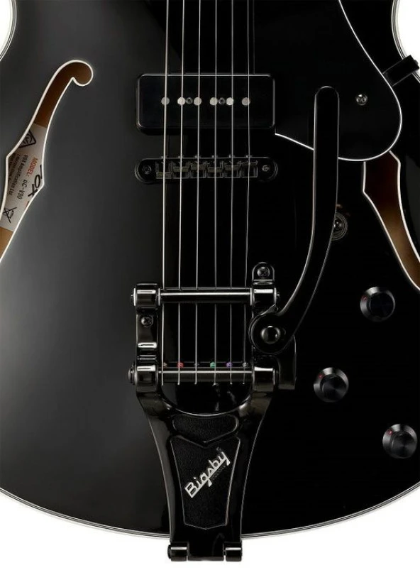 VOX BOBCAT V90 BIGSBY - Resim 3