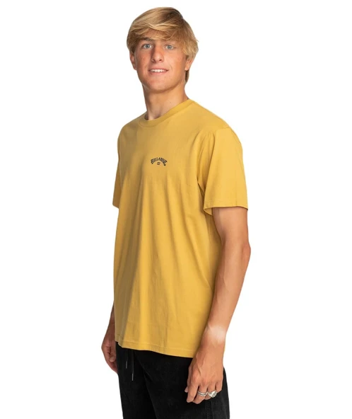 Billabong C1SS65BIP2 Arch Wave Erkek Tişört - Resim 6
