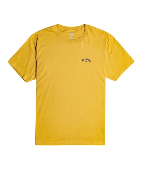 Billabong C1SS65BIP2 Arch Wave Erkek Tişört - Resim 2