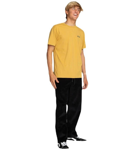 Billabong C1SS65BIP2 Arch Wave Erkek Tişört - Resim 4