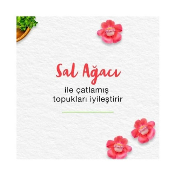 Himalaya Ayak Bakım Kremi 75 ML - Resim 5