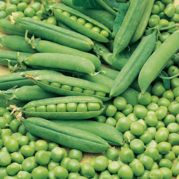 Geleneksel Doğal Bezelye Tohumu (25 gram) ürün görseli 1