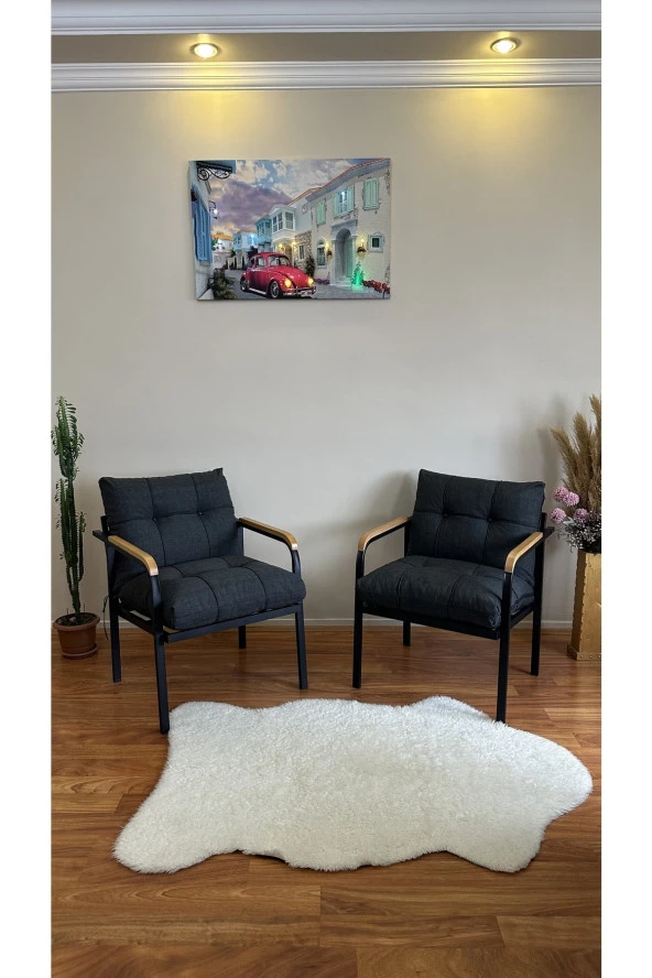 Modern Style Home Modern Avcılar Balkon, Bahçe, Cafe - Metal Kanepe Koltuk Takımı – 2 Tekli ürün görseli 1