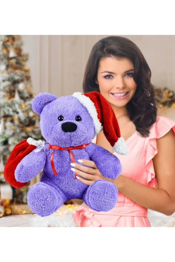 55 Cm Noel Baba Ayıcığı (%100 Yerli) - Resim 2
