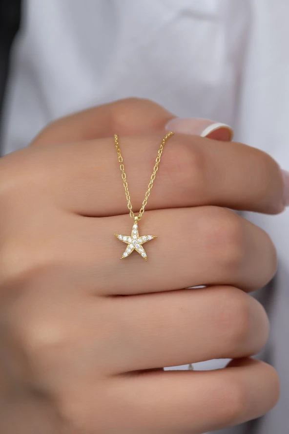 925 Ayar Gümüş Gold Zirkon Taşlı Deniz Yıldızı Kolye ürün görseli 1