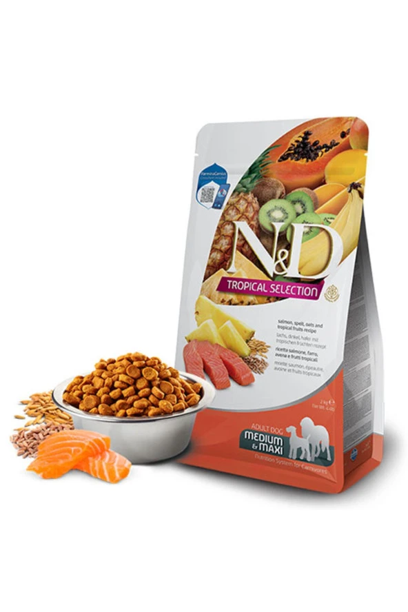 ND Tropical Selection Somonlu ve Tropikal Meyveli Orta ve Büyük Irk Yetişkin Köpek Maması 10kg ürün görseli 1