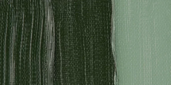 Van Gogh 40ml Yağlı Boya Seri:1 No:629 Green Earth ürün görseli 1