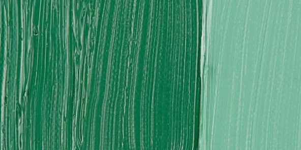 Van Gogh 40ml Yağlı Boya Seri:2 No:619 Permanent Green D ürün görseli 1