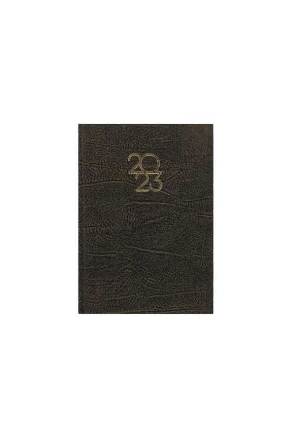 Lizy 2024 Nubuk Kapaklı Yaldızlı Günlük Ajanda 14x20cm Ajnb922 ürün görseli 1