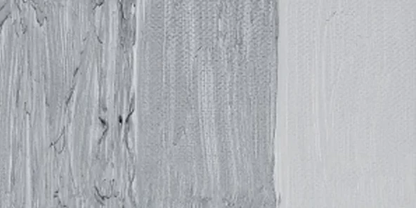 Maimeri Classico 60ml Yağlı Boya 003 Silver ürün görseli 1