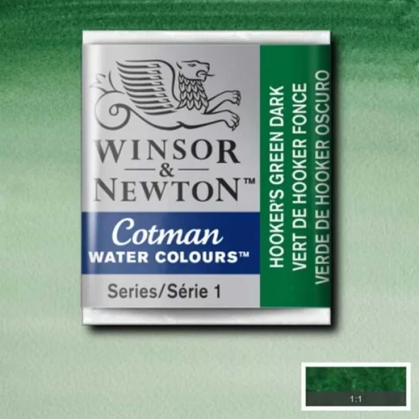 Winsor & Newton Tablet Sulu Boya No:312 Hookers Green Dark ürün görseli 1