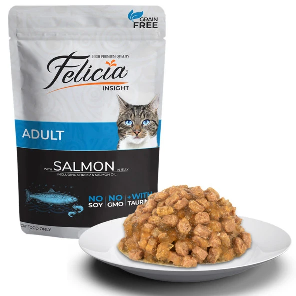 Felicia Tahılsız Somonlu Yetişkin Yaş Mama 85 Gr ürün görseli 1