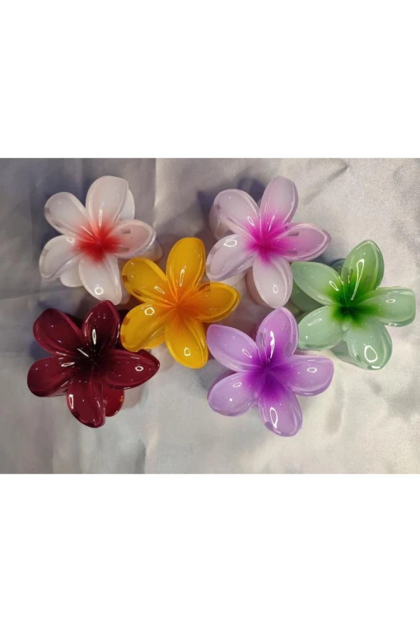 6'LI RENGARENK LOTUS ÇİÇEĞİ MANDAL TOKA 8 cm ürün görseli 1