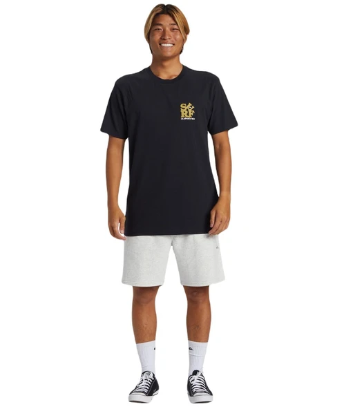 Quiksilver AQYZT09542 Surf Moe Erkek Tişört ürün görseli 1