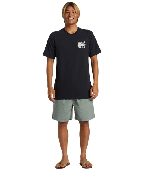 Quiksilver AQYZT09540 Hurricane Or Hippie Moe Erkek Tişört ürün görseli 1
