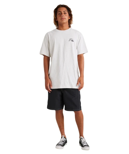 Quiksilver AQYZT09598 Qs Bubble Logo Dna Erkek Tişört ürün görseli 1