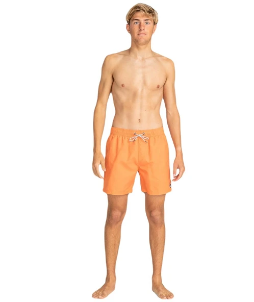 Billabong EBYJV00134 All Day Lb Erkek Şort Mayo - Resim 4