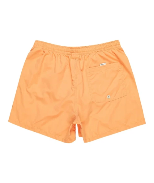 Quiksilver EQYJV04061 Behind Waves Erkek Şort Mayo - Resim 6